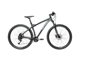 Gepida Sirmium 29 fekete kek