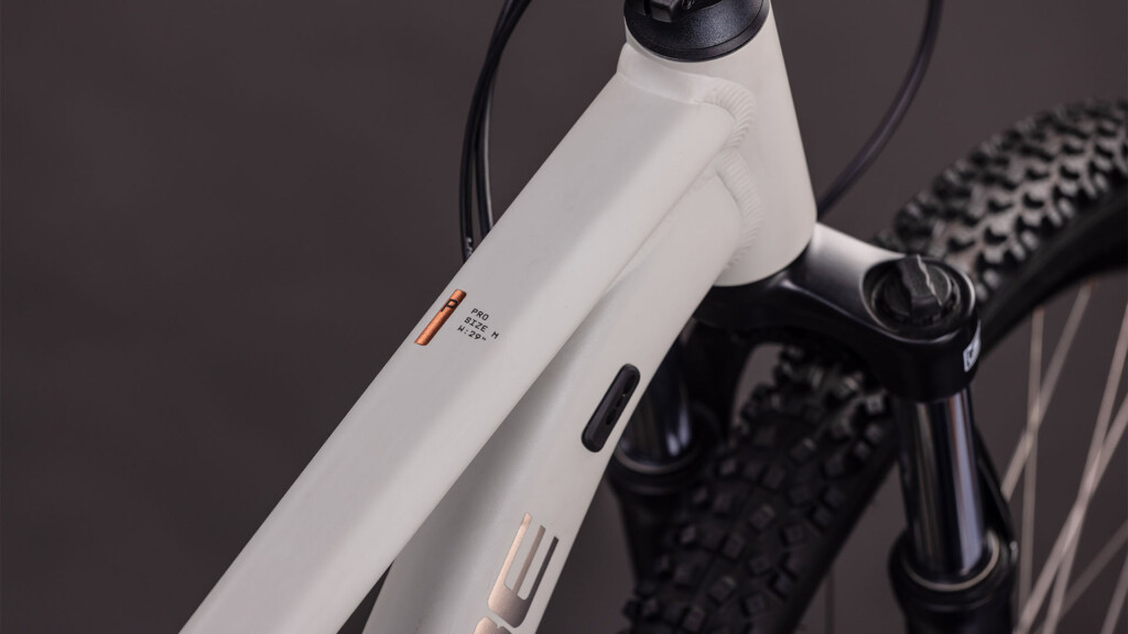 CUBE AIM PRO greige´n´titan 29 2026 (3)