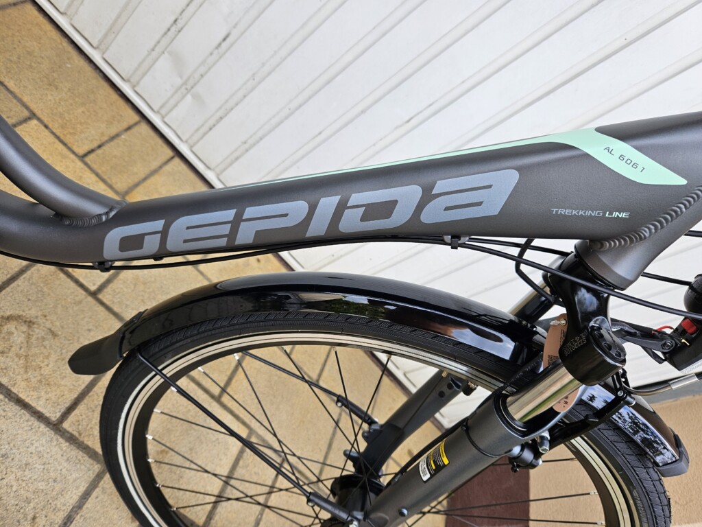 GEPIDA ALBOIN 200 W Női grafit (2)